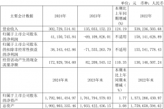 神工股份2024年营收同比增加12419%净利润同比扭亏
